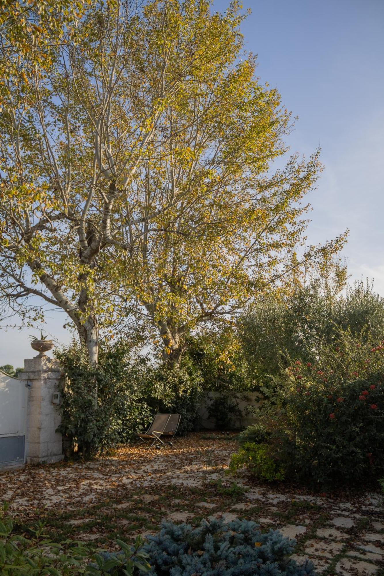 Villa Ada-Trulli Puglia Martina Franca Buitenkant foto