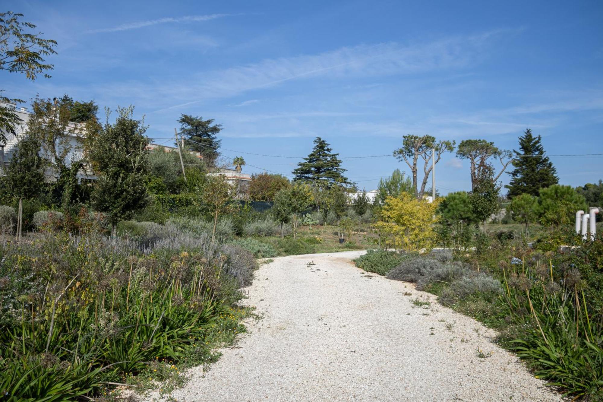 Villa Ada-Trulli Puglia Martina Franca Buitenkant foto